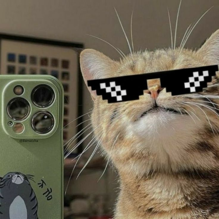 Kacamata Cat Eye